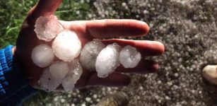 La Guida - Violenta grandinata nel saluzzese, l’allarme dei frutticoltori (video)