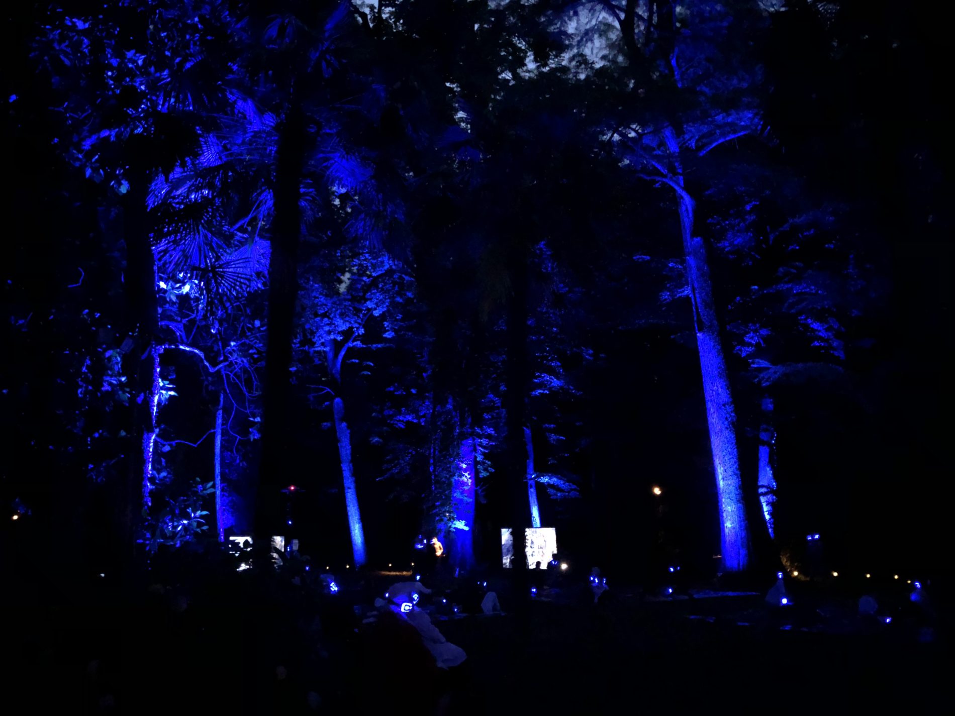 Concerto d'estate al castello di Miradolo