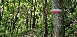 La Guida - A Frabosa Sottana si organizza la pulizia dei sentieri