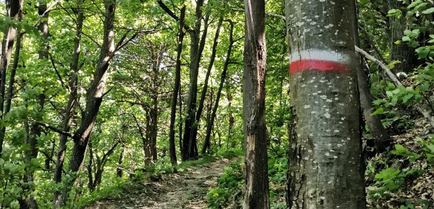 La Guida - A Frabosa Sottana si organizza la pulizia dei sentieri