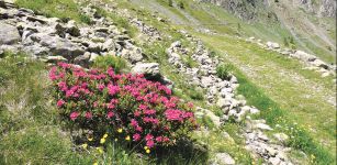 La Guida - “Primavera sostenibile”, cinque incontri con lo Yepp Valle Stura