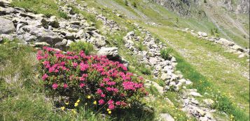 La Guida - Con i nostri lettori nel vallone di Sant’Anna di Bellino, in valle Stura e in valle Ellero