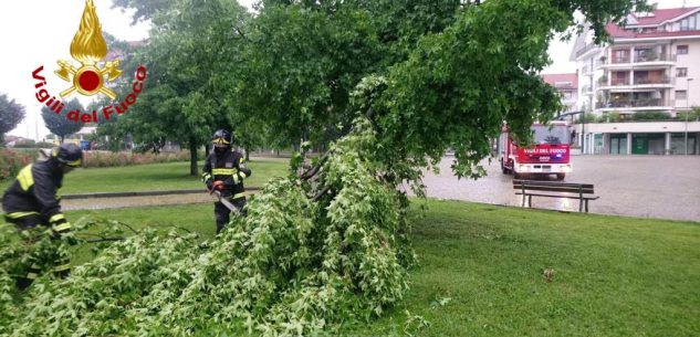 La Guida - Vento e forti piogge, 34 interventi dei Vigili del fuoco