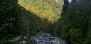 La Guida - A passeggio tra cervi, boschi e cascate