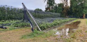 La Guida - Tromba d’aria e bombe d’acqua nella Granda