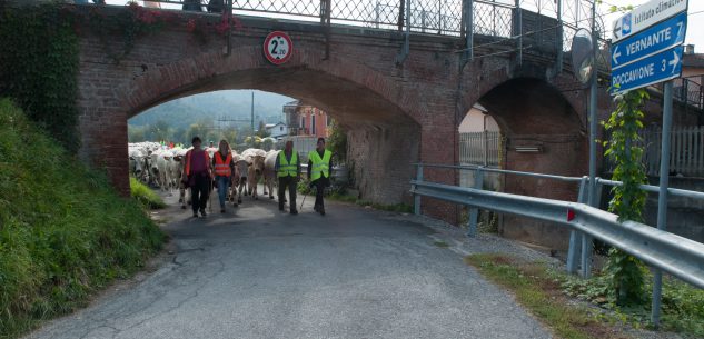 La Guida - Robilante: via Emina riaprirà la prossima settimana