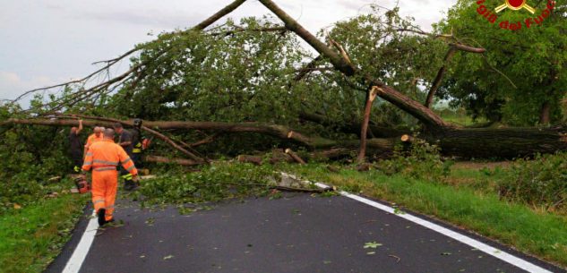 La Guida - Maltempo nel Cuneese, alberi caduti, pali pericolanti, danni e tetti divelti