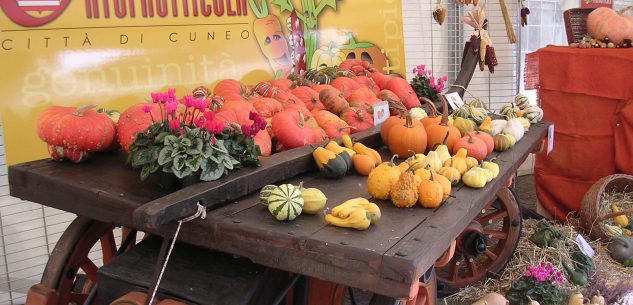 La Guida - Rinviate al prossimo anno la 93ª Sagra di San Sereno e la mostra Ortofrutticola “Città di Cuneo”