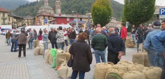 La Guida - Martedì 22 settembre torna il Mercato delle castagne a Venasca