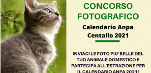 La Guida - Concorso fotografico per il calendario animali Anpa Centallo 2021