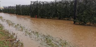 La Guida - Bomba d’acqua su Saluzzo, chiuso il Pronto soccorso