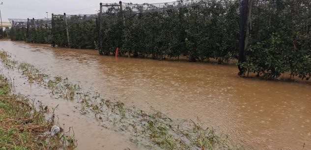 La Guida - Bomba d’acqua su Saluzzo, chiuso il Pronto soccorso