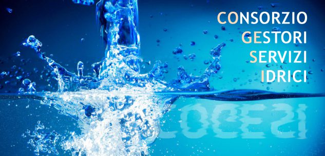 La Guida - Acqua, nuove acquisizioni per il gestore pubblico Cogesi