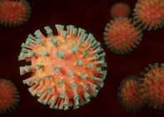 La Guida - Coronavirus, in Granda 11 contagi e 6 guariti più di ieri