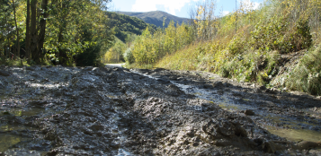 La Guida - L’elenco delle strade provinciali ancora chiuse