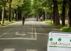 La Guida - Isola pedonale in Viale degli Angeli, sarà monitorato il numero di pedoni e ciclisti