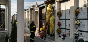 La Guida - Peveragno, i Vigili del Fuoco nel cimitero per rimuovere dei grossi nidi di vespa