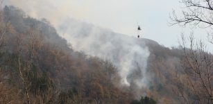 La Guida - Pulizia dei boschi, foglie e vegetali da bruciare: ecco le regole