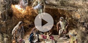 La Guida - La grotta, la Sacra Famiglia, il bue e l’asinello