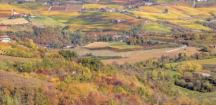 La Guida - I paesaggi vitivinicoli del Piemonte: le Langhe e il Roero (video)