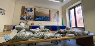 La Guida - Cascinale per la produzione di marijuana, nei guai tre persone