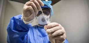 Coronavirus Piemonte, in calo il numero dei nuovi casi e dei ricoveri La Guida - Coronavirus Piemonte, in calo il numero dei nuovi casi e dei ricoveri