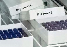 La Guida - In Piemonte sono 9.608 le persone vaccinate