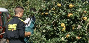 La Guida - Agricoltura e lavoro somministrato, risultati positivi in Granda