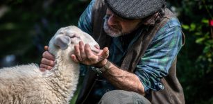 La Guida - La provincia di Cuneo regina di Igp, Dop e prodotti agroalimentari tradizionali riconosciuti