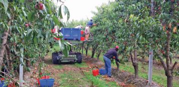 La Guida - Protocollo per l’accoglienza dei migranti della frutta