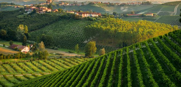 La Guida - Una cabina di regia per l’enologia di qualità piemontese