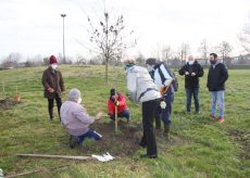La Guida - Venti alberi nel ricordo dei giovani morti a Castelmagno