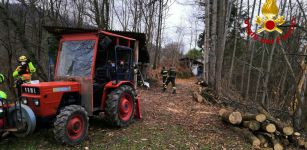 La Guida - Uomo colpito al volto da un ramo durante la potatura