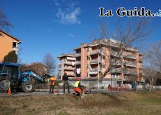 La Guida - Al via i tagli di 40 alberi a Confreria (video)