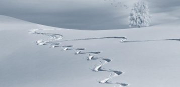 La Guida - Quale futuro per la neve? Il 18 e 19 aprile arriva “Beyondsnow”