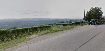 La Guida - Senso unico per i camion sulle provinciali delle colline di Langa