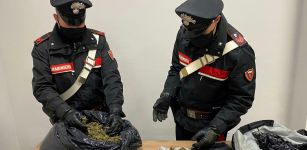 La Guida - Droga, sei persone arrestate e sequestri in tre località della Granda