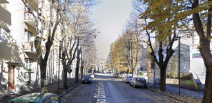 Gli ambientalisti difendono i 57 tigli di corso Colombo a Fossano La Guida - Gli ambientalisti difendono i 57 tigli di corso Colombo a Fossano
