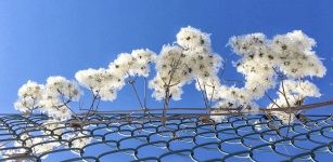 La Guida - La fotografia come relazione per la Giornata del Fiocchetto Lilla