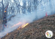 La Guida - Borgo, incendio boschivo sulla collina di Aradolo