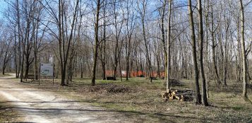 La Guida - Lavori nel bosco di Sant’Anselmo e alla Crocetta nel Parco fluviale