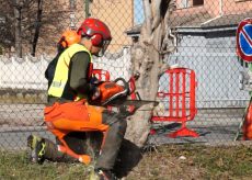 La Guida - Strada chiusa tra Cuneo e Madonna dell’Olmo, dal ponte vecchio, per abbattere gli alberi