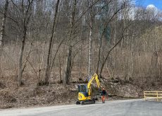 La Guida - Operai forestali della Regione Piemonte in azione a Sampeyre