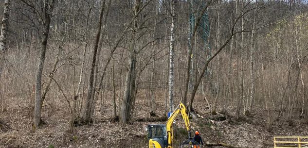 La Guida - Operai forestali della Regione Piemonte in azione a Sampeyre