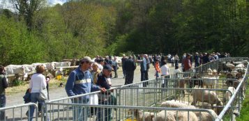 La Guida - Frabosa Sottana, salta l’edizione 2021 della Fiera di San Giorgio