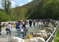 La Guida - “Fera ‘d San Giors”, evento di primavera a Frabosa Sottana