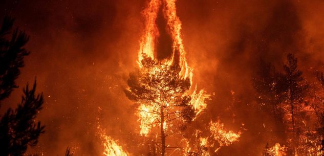 La Guida - Stato di massima pericolosità per gli incendi boschivi