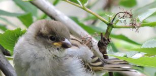 La natura e la fotografia, incontro per passione La Guida - La natura e la fotografia, incontro per passione