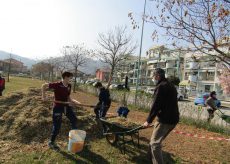 La Guida - Lavori nei parchi e giardini comunali buschesi