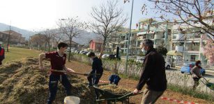 La Guida - Lavori nei parchi e giardini comunali buschesi